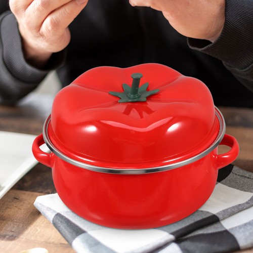 Casseroles émail pour - en, la
