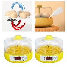 Incubateur d'oeufs pour oiseaux Oeufs à couver automatique Petit incubateur