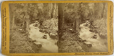 USA, trout fishing, vintage print, ca.1880, stereo vintage stereo print, le