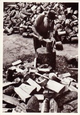 Carte postale " petits et