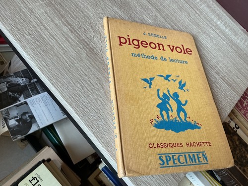 Pigeon