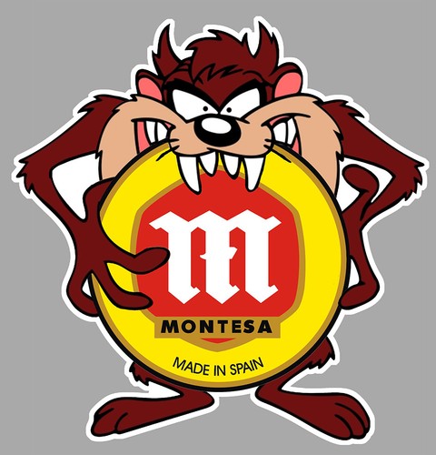 Montesa taz sticker vinyle - montesa,