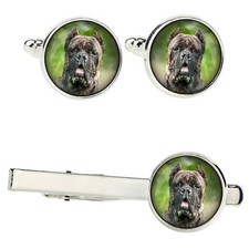 Cane Corso Set Avec Clips Dans