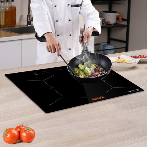 Vevor plaque induction - plaque,