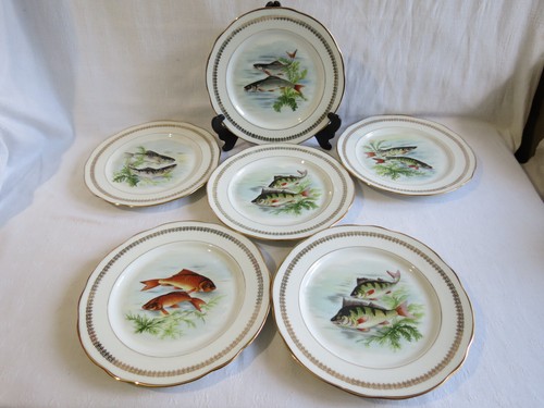 Assiettes à - 6,