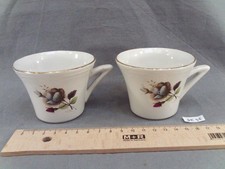 2 Antique Earthenware Cups Decorated with Roses 1950 (DE46)