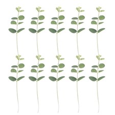  10pcs Eucalyptus Feuille de gâteau Plugins Tropical Leaf Gâteau Inserts Plugins