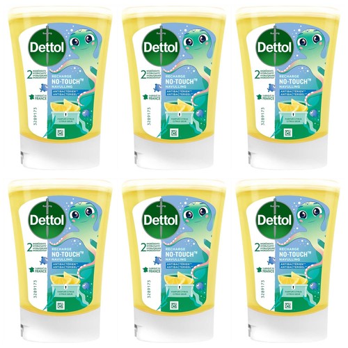 7000050 dettol lot de - dettol,