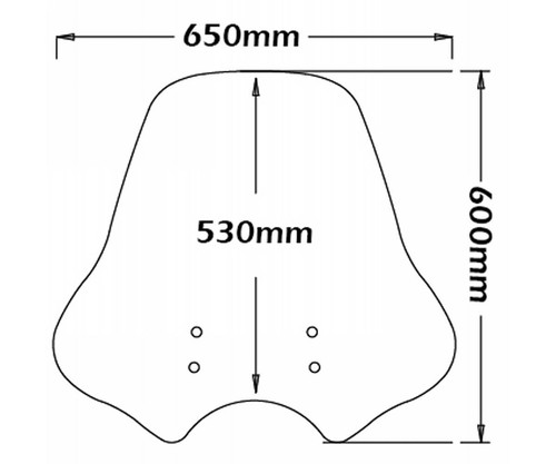 Pare brise isotta maxi - pare-brise,