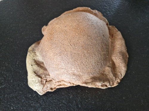 Bernard dejonghe carapace - carapace, de