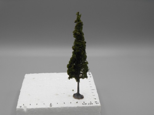 Arbre peuplier sur - pied, 13.5