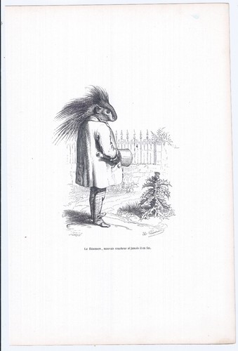 Animaux savants granville 1842 - animaux,