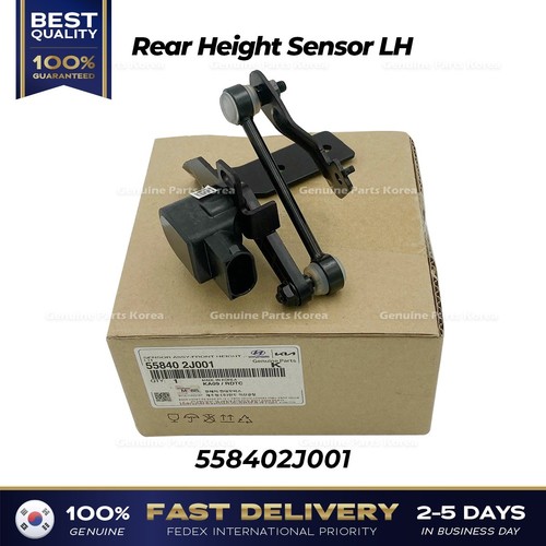 Genuine rear height - rear,