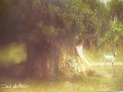 Carte postale david - carte,