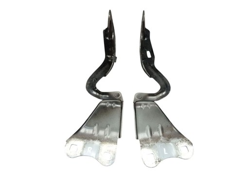 Bonnet hinge set left - bonnet,