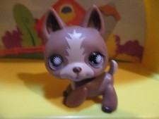 Petshop Chien Berger allemand