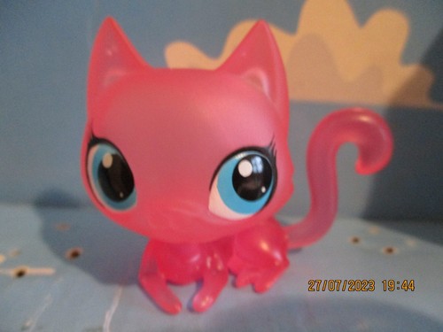Petshop chat sphynx - chat,