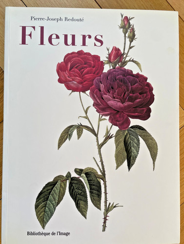 Fleurs pierre joseph - fleurs,