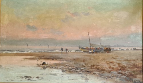 Coquilliers sur plage - sur, la