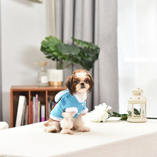 Deguisement pour chien manteau - pour,