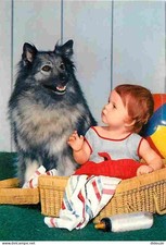 Carte Postale - Animaux -