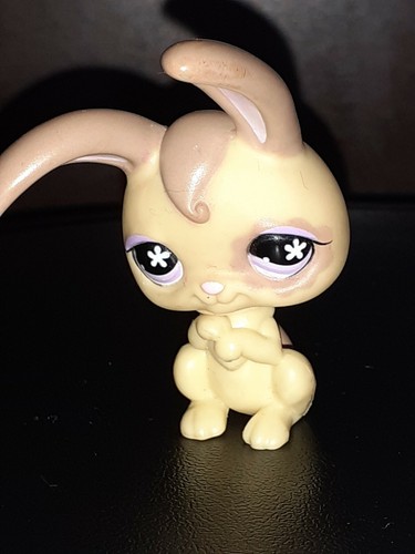 Petshop pet shop - pet, lps