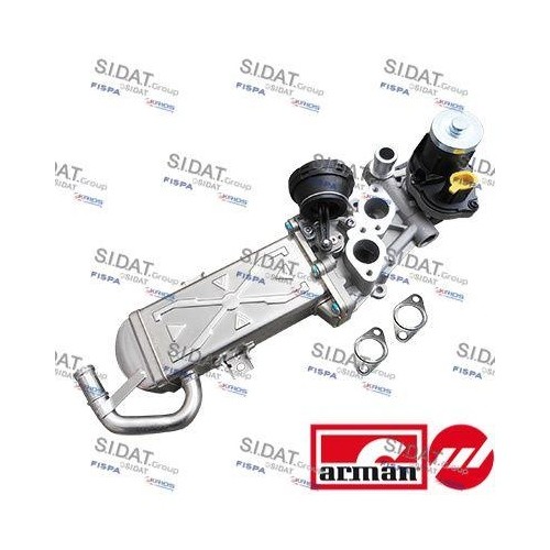 Module egr sidat 998as - module,