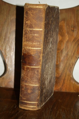 Witkowski le corps - witkowski,