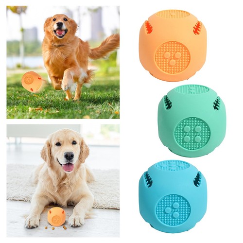 Jouet interactif pour chien