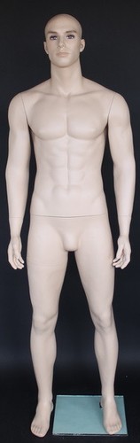 Tall male muscular body - 6'3",