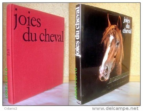 Joies cheval benoist - joies,