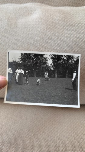 Photo ancienne berger - , moutons
