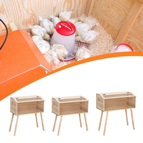 Couveuse pour poussins