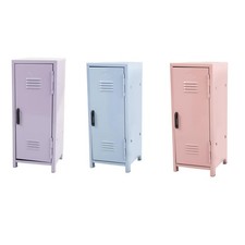 Mini casier en métal mignon