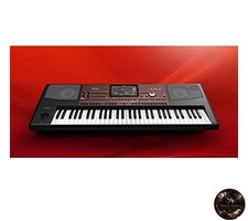 Korg pa700 professional - korg,