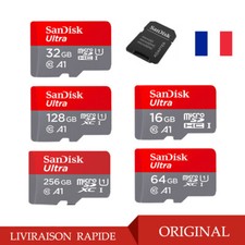 Carte mémoire SANDISK Micro