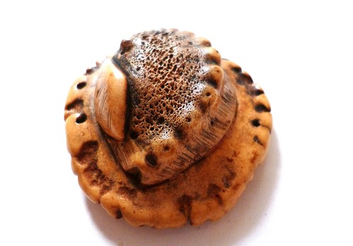 Japon 19ème netsuke corne - en,