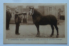 CPA...29...Landivisiau...Cheva