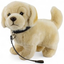 Carl Dick Golden Retriever