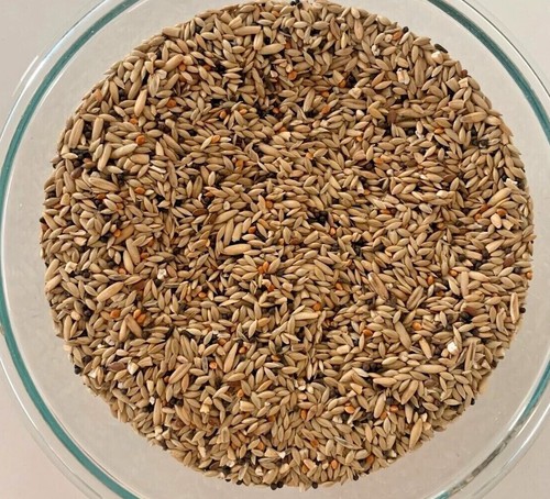 Higgins supreme canary diet - canary,