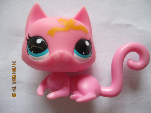 Petshop chat sphynx - n°3555, /