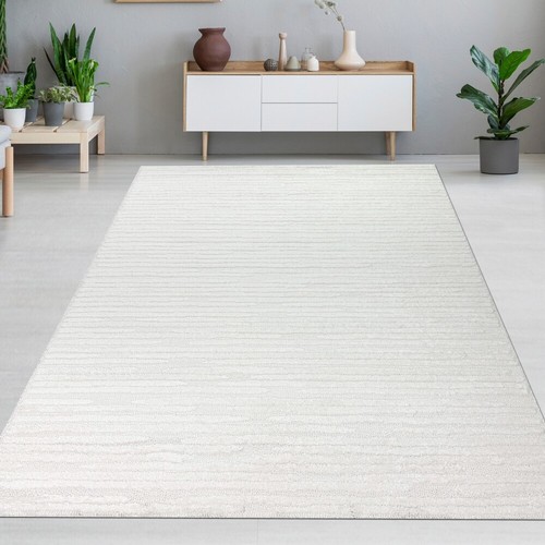 Tapis salon chambre avec
