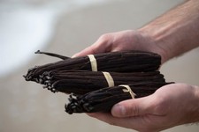 1 kg - gousses de vanille