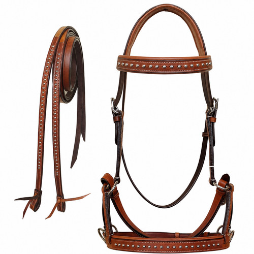Horse western - horse,