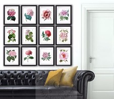 Rose Pivoines Hortensia Fleur