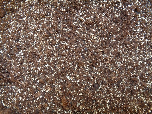 Substrat plante carnivore