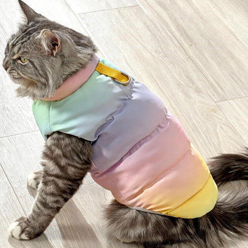 Manteau hiver pour chat - manteau,