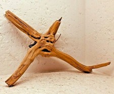 racine araignée mangrove spider root  souche bois 32x26x12  aquarium S 4 xl 