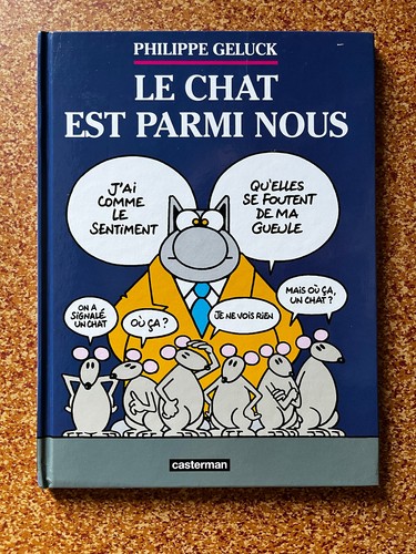 Le chat est parmi - chat,