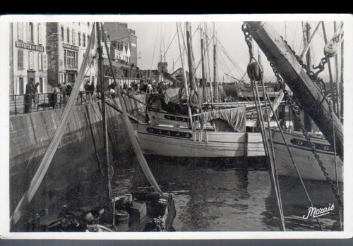 Douarnenez bateaux de - douarnenez, (29)